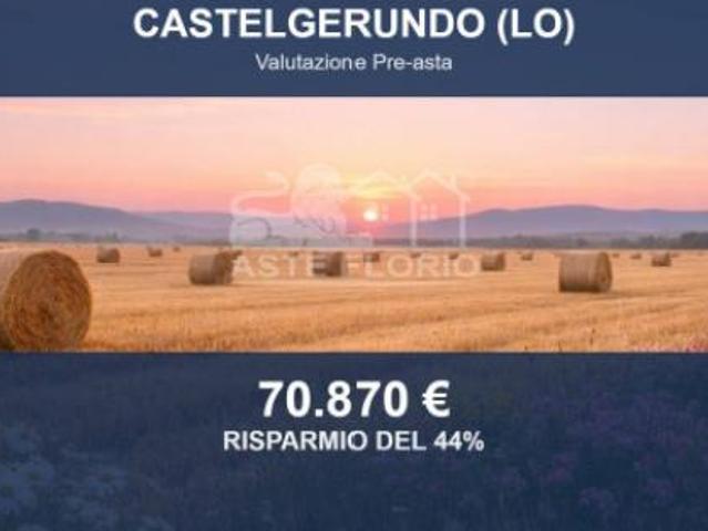 Immobile in asta di 18400 m in vendita a Castelgerundo