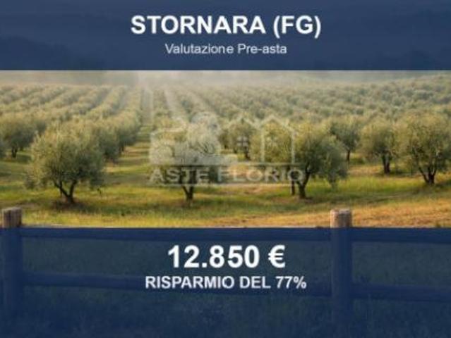 Immobile in asta di 18536 m in vendita a Stornara