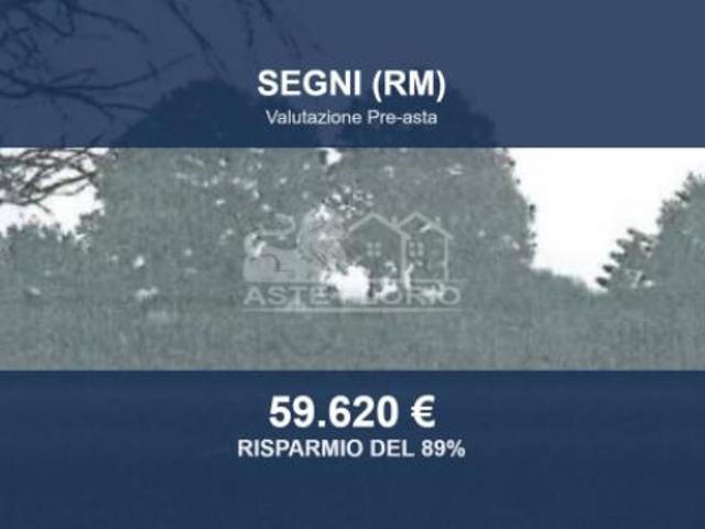 Immobile in asta di 18794 m in vendita a Segni