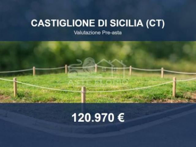 Immobile in asta di 18981 m in vendita a Castiglione di Sicilia