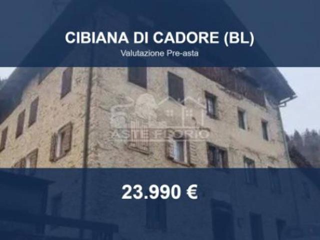 Immobile in asta di 193 m con più di 5 locali in vendita a Cibiana di Cadore