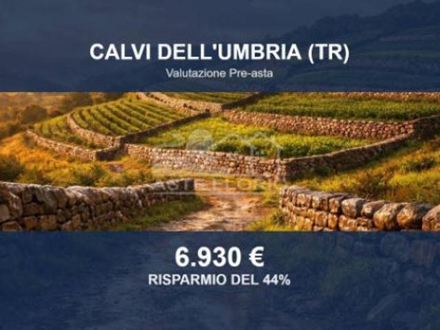 Immobile in asta di 19060 m in vendita a Calvi dell'Umbria