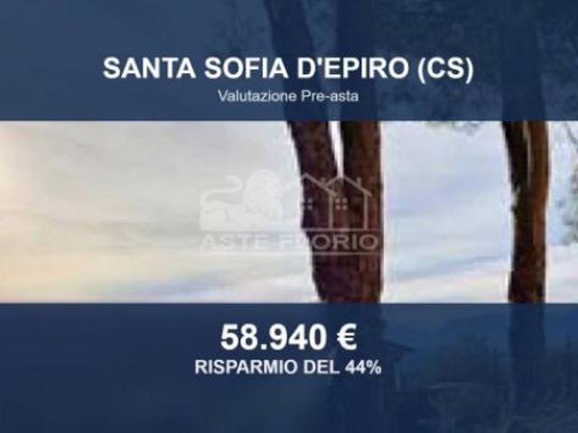 Immobile in asta di 19088 m in vendita a Santa Sofia d'Epiro