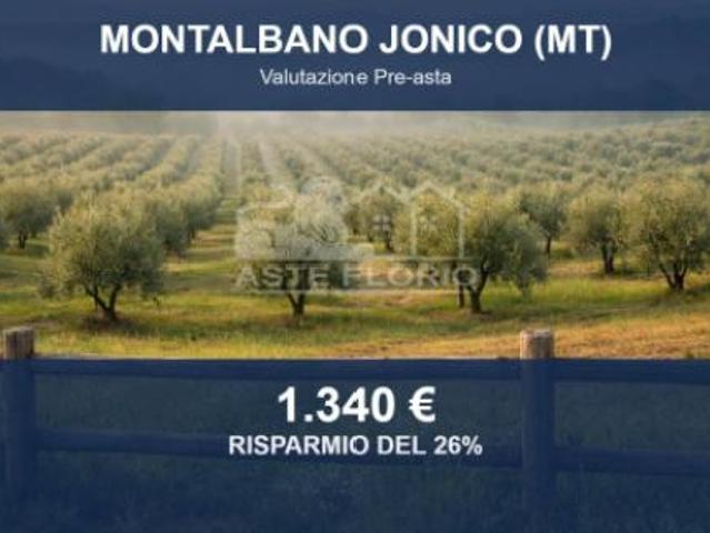 Immobile in asta di 19341 m in vendita a Montalbano Jonico