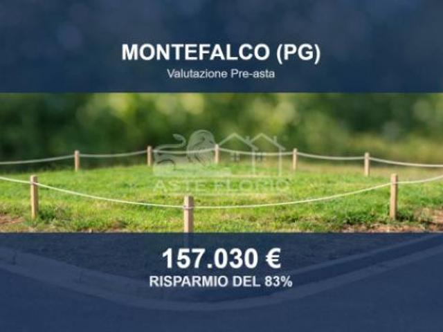 Immobile in asta di 19652 m in vendita a Montefalco