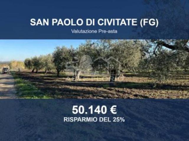 Immobile in asta di 19665 m in vendita a San Paolo di Civitate