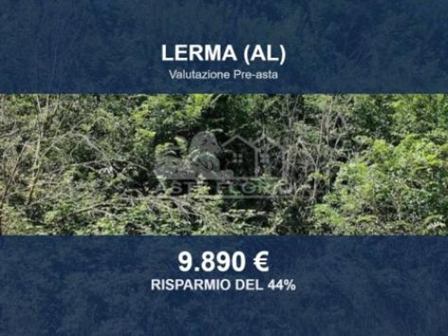 Immobile in asta di 19800 m in vendita a Lerma