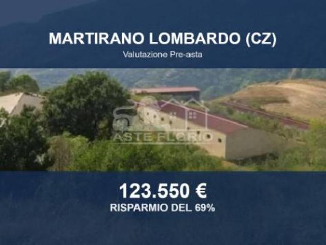 Immobile in asta di 19970 m in vendita a Martirano Lombardo