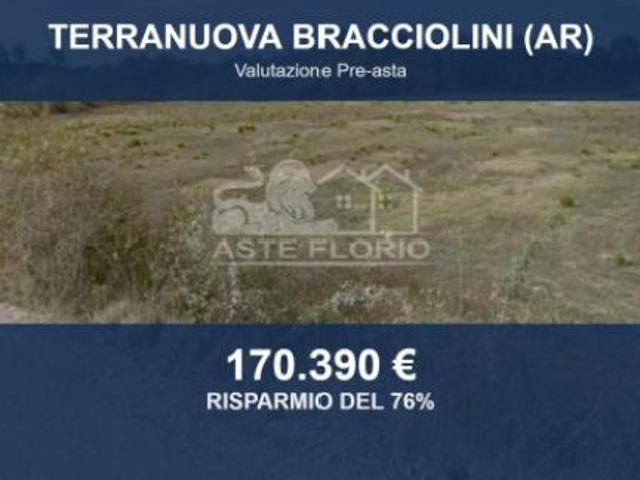 Immobile in asta di 100000 m in vendita a Terranuova Bracciolini