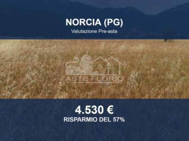 Immobile in asta di 10080 m in vendita a Norcia