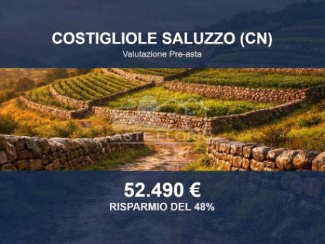 Immobile in asta di 10090 m in vendita a Costigliole Saluzzo