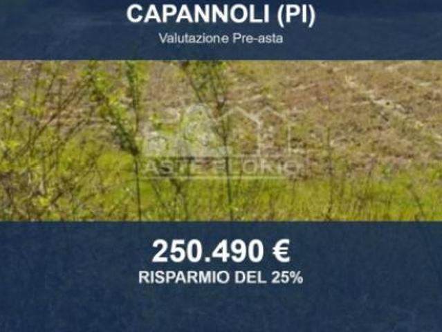 Immobile in asta di 101390 m in vendita a Capannoli
