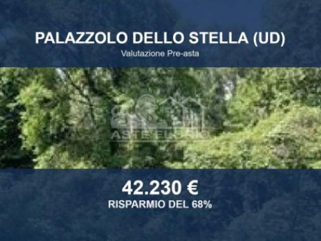 Immobile in asta di 10270 m in vendita a Palazzolo dello Stella