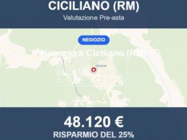 Immobile in asta di 102 m in vendita a Ciciliano