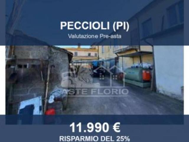 Immobile in asta di 102 m in vendita a Peccioli