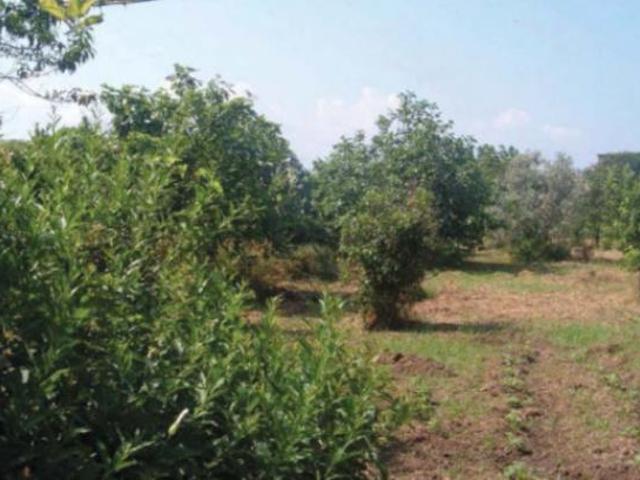 Immobile in asta di 10 m in vendita a Lamezia Terme