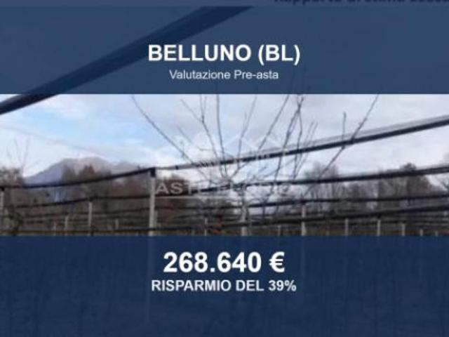 Immobile in asta di 10376 m in vendita a Belluno