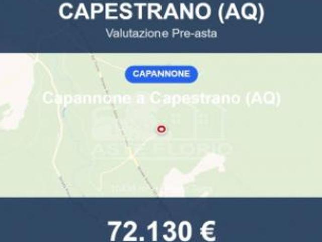 Immobile in asta di 10438 m in vendita a Capestrano
