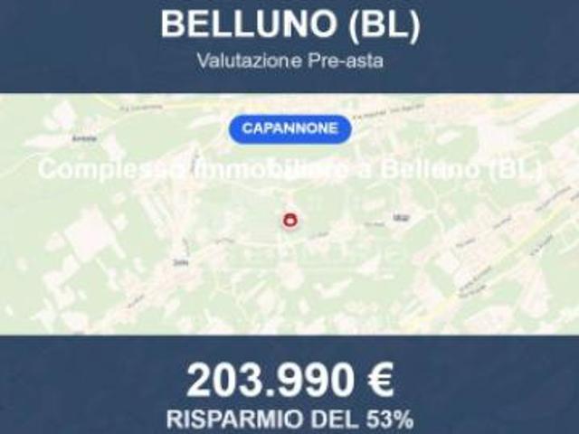 Immobile in asta di 10483 m in vendita a Belluno