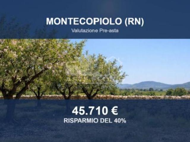 Immobile in asta di 105132 m in vendita a Montecopiolo