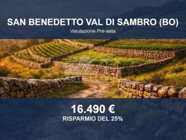 Immobile in asta di 105584 m in vendita a San Benedetto Val di Sambro