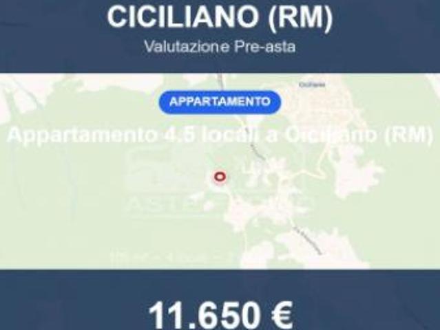 Immobile in asta di 105 m in vendita a Ciciliano