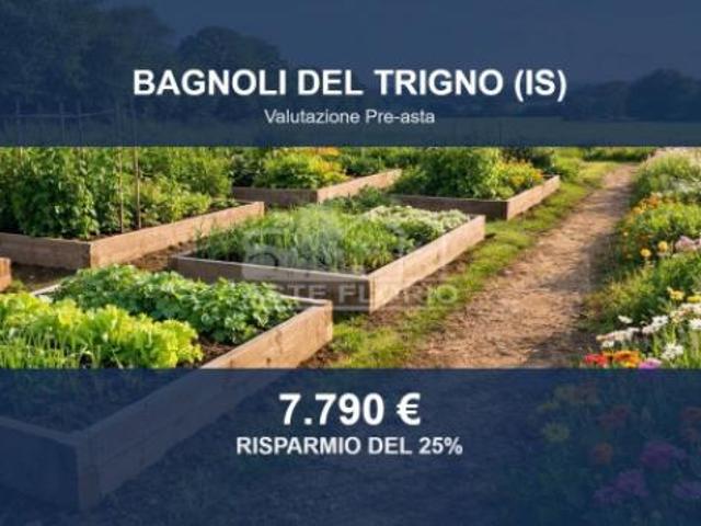 Immobile in asta di 10611 m in vendita a Bagnoli del Trigno
