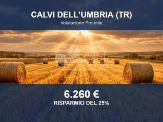 Immobile in asta di 10637 m in vendita a Calvi dell'Umbria