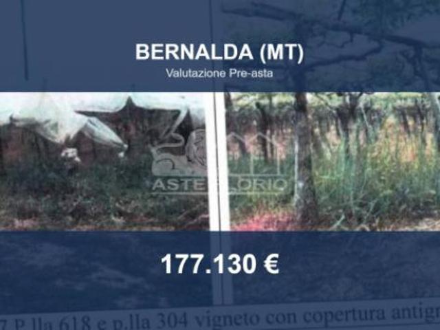 Immobile in asta di 106556 m in vendita a Bernalda