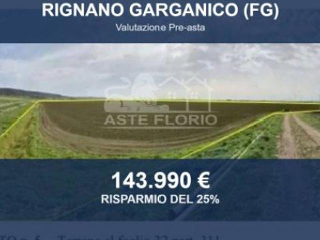 Immobile in asta di 106574 m in vendita a Rignano Garganico