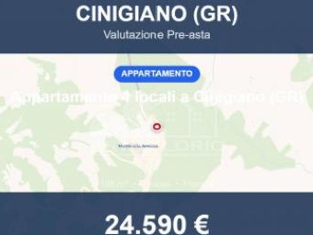 Immobile in asta di 106 m, box auto in vendita a Cinigiano