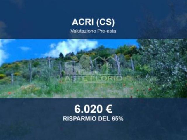 Immobile in asta di 10767 m in vendita a Luzzi