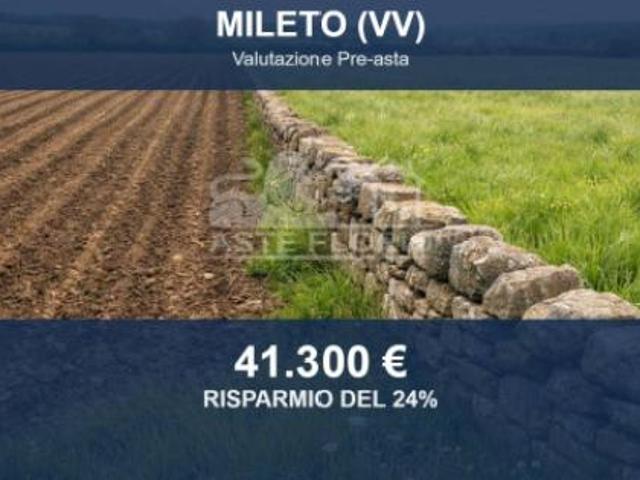 Immobile in asta di 10802 m in vendita a Mileto