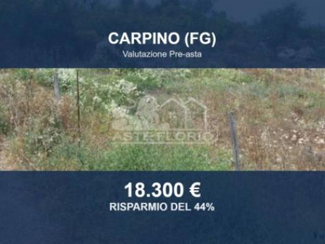 Immobile in asta di 10848 m in vendita a Carpino