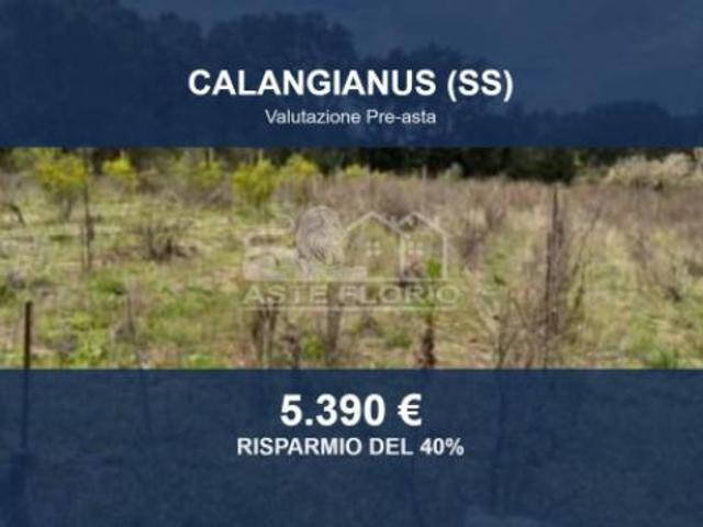 Immobile in asta di 1088 m in vendita a Calangianus