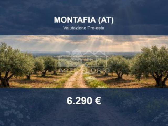 Immobile in asta di 10942 m in vendita a Montafia