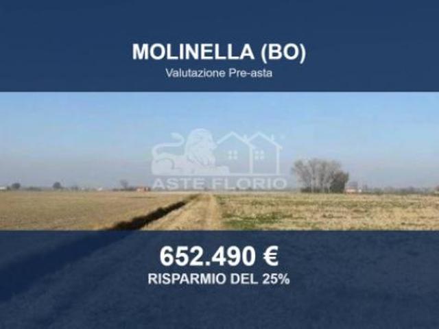Immobile in asta di 109744 m in vendita a Molinella