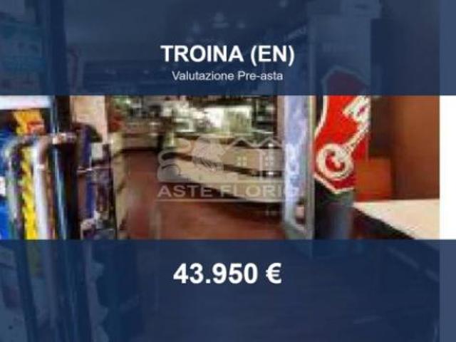 Immobile in asta di 110 m in vendita a Troina