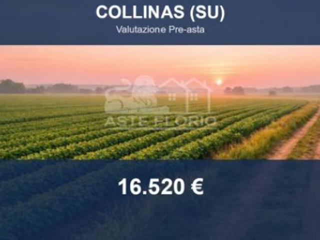 Immobile in asta di 110 m in vendita a Collinas