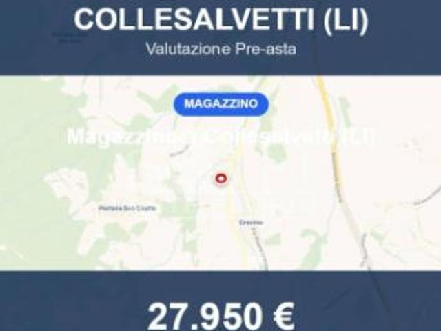 Immobile in asta di 11173 m in vendita a Collesalvetti