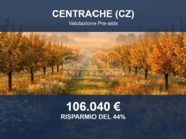 Immobile in asta di 111810 m in vendita a Centrache