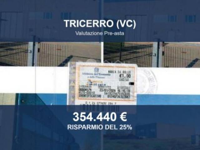 Immobile in asta di 1119 m in vendita a Tricerro