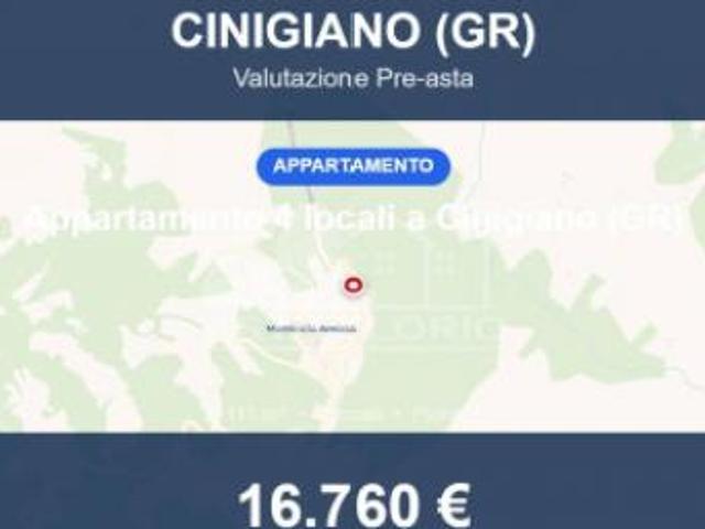 Immobile in asta di 111 m, box auto in vendita a Cinigiano