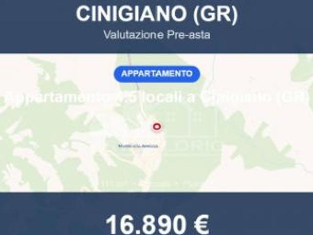 Immobile in asta di 111 m, box auto in vendita a Cinigiano