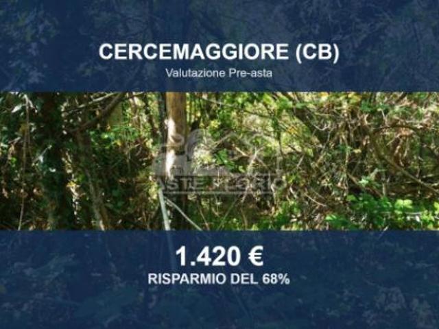 Immobile in asta di 1124 m in vendita a Cercemaggiore