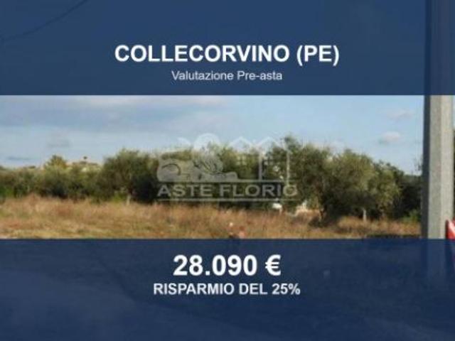 Immobile in asta di 1135 m in vendita a Collecorvino