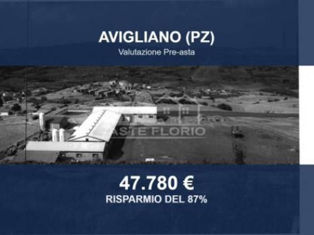 Immobile in asta di 1142 m in vendita a Avigliano
