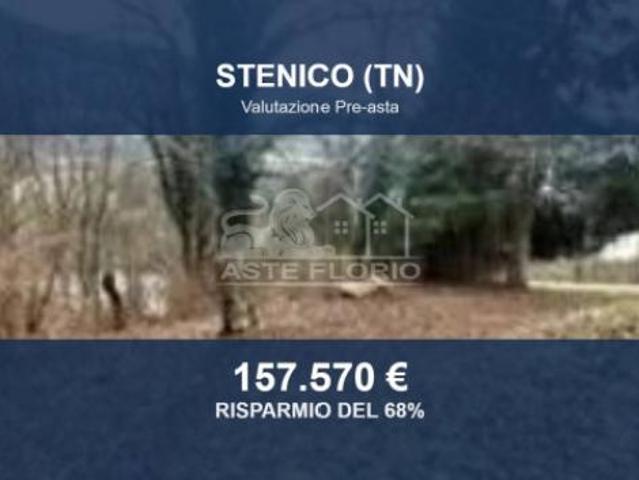 Immobile in asta di 11529 m in vendita a Stenico
