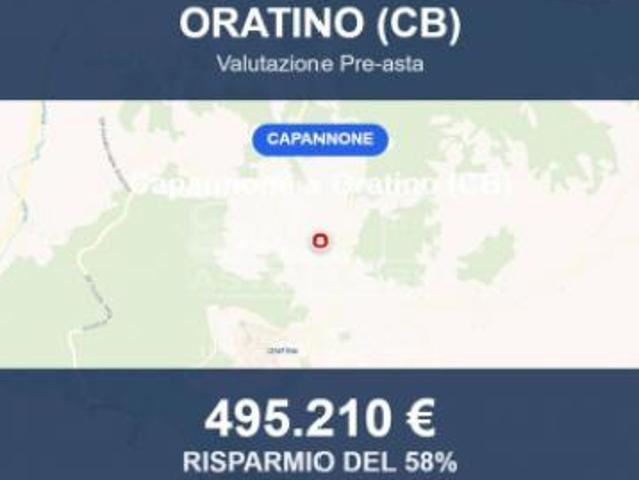 Immobile in asta di 11530 m in vendita a Oratino
