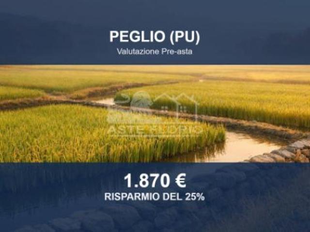 Immobile in asta di 1157 m in vendita a Peglio